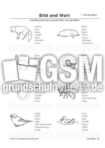 BuW Haustiere42.pdf